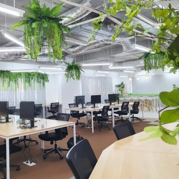Creating productive work environment with Biophilic Design